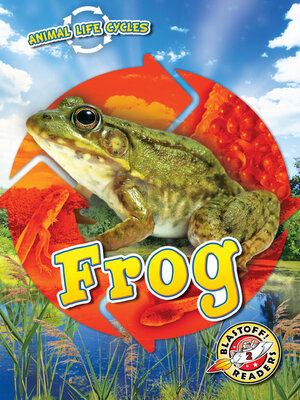 cover image of Animal Life Cycles: Frog